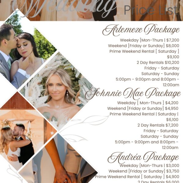 Investment 6 Beige Minimalist Wedding Photography Price List.zip - 1
