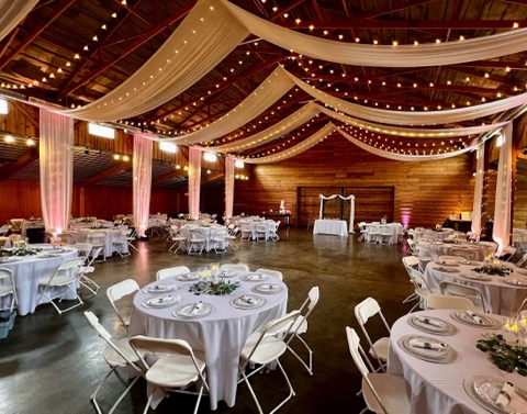 Venue 8